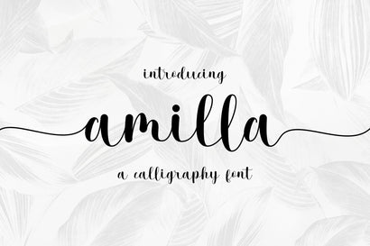 Amilla Script Font Jun Creative 