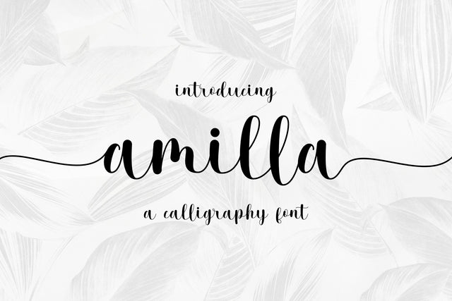Amilla Script Font Jun Creative 