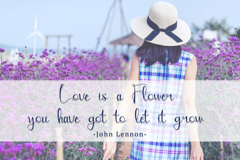 Amillea Font Sakha Design Studio 