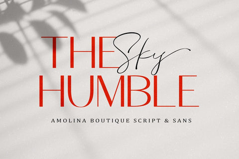 Amolina Boutique Font Duo Font AngelStudio 