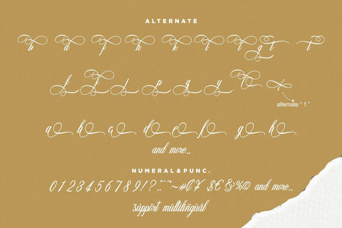 Amorista Font Hans Co 