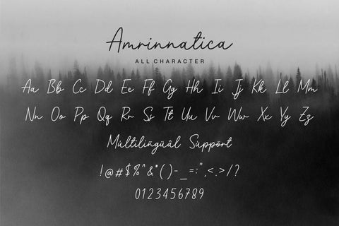 Amrinnatica Font Allouse.Studio 