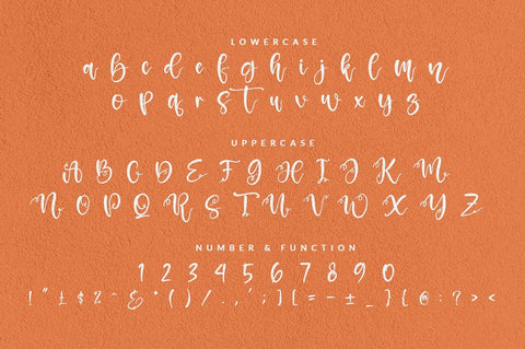 Amselia Parselia Font Wildan Type 