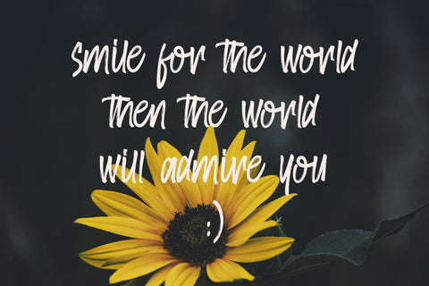 AmsterBrush font Font toni_std 