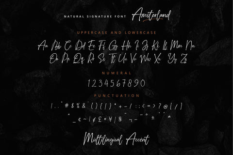 Amsterland Font Zeenesia Std 