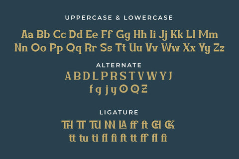 Amuttix - Serif Display Font Font twinletter 