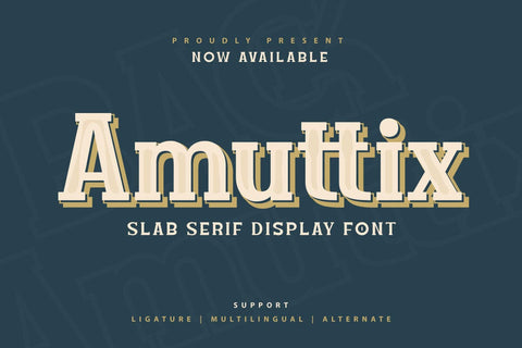 Amuttix - Serif Display Font Font twinletter 