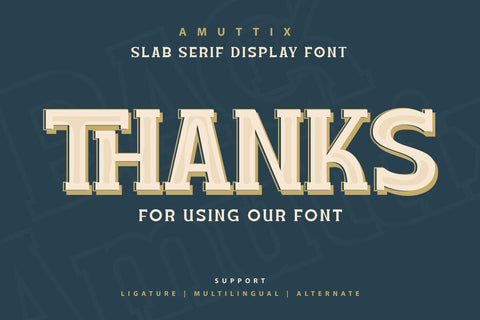 Amuttix - Serif Display Font Font twinletter 