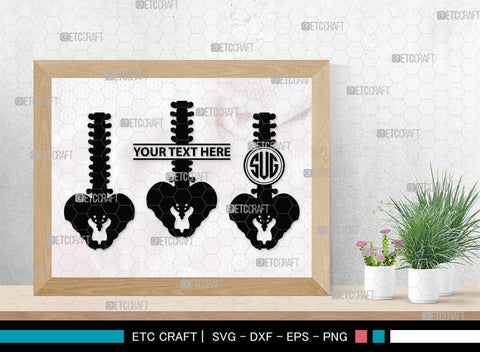 Anatomy Spine monogram, Anatomy Spine Silhouette, Anatomy Spine SVG, Human Spine Svg, Anatomy Svg, Spine Svg, Spine Svg, SB00137 SVG ETC Craft 