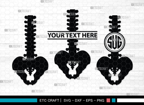 Anatomy Spine monogram, Anatomy Spine Silhouette, Anatomy Spine SVG, Human Spine Svg, Anatomy Svg, Spine Svg, Spine Svg, SB00137 SVG ETC Craft 