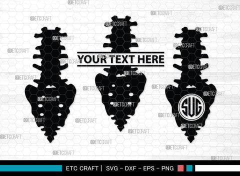 Anatomy Spine monogram, Anatomy Spine Silhouette, Anatomy Spine SVG, Human Spine Svg, Anatomy Svg, Spine Svg, Spine Svg, SB00137 SVG ETC Craft 