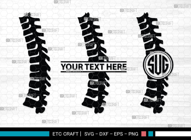 Anatomy Spine monogram, Anatomy Spine Silhouette, Anatomy Spine SVG, Human Spine Svg, Anatomy Svg, Spine Svg, Spine Svg, SB00137 SVG ETC Craft 