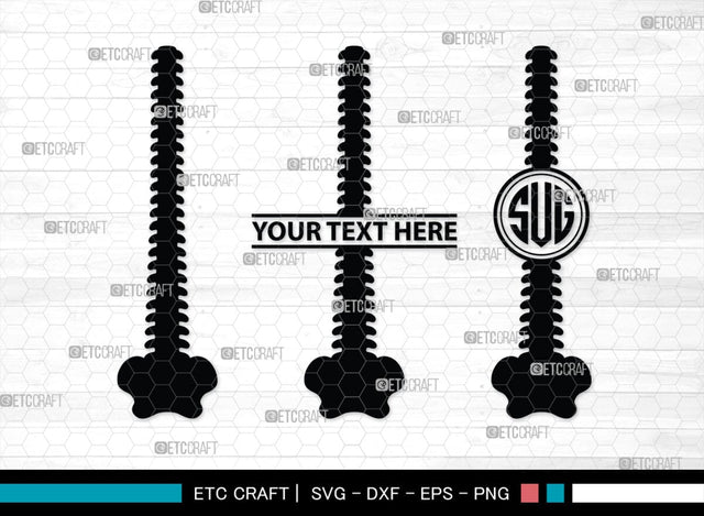 Anatomy Spine monogram, Anatomy Spine Silhouette, Anatomy Spine SVG, Human Spine Svg, Anatomy Svg, Spine Svg, Spine Svg, SB00137 SVG ETC Craft 