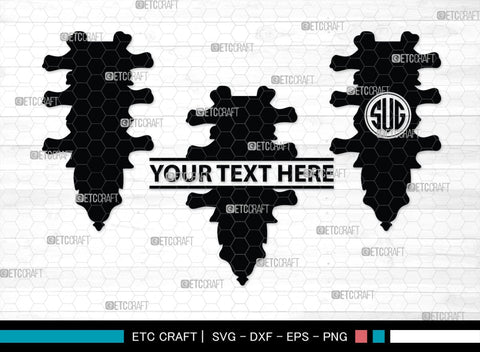 Anatomy Spine monogram, Anatomy Spine Silhouette, Anatomy Spine SVG, Human Spine Svg, Anatomy Svg, Spine Svg, Spine Svg, SB00137 SVG ETC Craft 