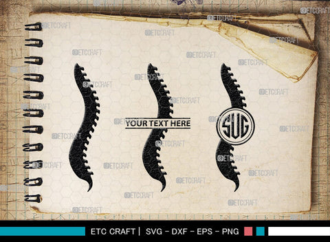 Anatomy Spine monogram, Anatomy Spine Silhouette, Anatomy Spine SVG, Human Spine Svg, Anatomy Svg, Spine Svg, Spine Svg, SB00137 SVG ETC Craft 