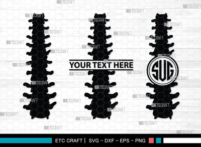 Anatomy Spine monogram, Anatomy Spine Silhouette, Anatomy Spine SVG, Human Spine Svg, Anatomy Svg, Spine Svg, Spine Svg, SB00137 SVG ETC Craft 