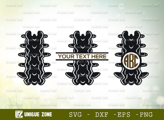 Anatomy Spine Monogram SVG Cut File, Anatomy Svg, Human Spine Svg, Spine Svg, Bones Svg, Spinal Cord Svg, Skeleton Svg, Physiotherapy Svg SVG Unique Zone 