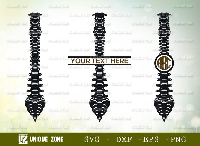 Anatomy Spine Monogram SVG Cut File, Anatomy Svg, Human Spine Svg, Spine Svg, Bones Svg, Spinal Cord Svg, Skeleton Svg, Physiotherapy Svg SVG Unique Zone 