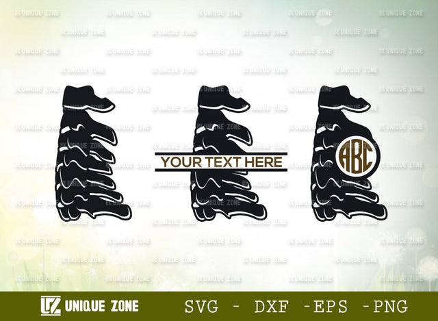 Anatomy Spine Monogram SVG Cut File, Anatomy Svg, Human Spine Svg, Spine Svg, Bones Svg, Spinal Cord Svg, Skeleton Svg, Physiotherapy Svg SVG Unique Zone 
