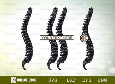 Anatomy Spine Monogram SVG Cut File, Anatomy Svg, Human Spine Svg, Spine Svg, Bones Svg, Spinal Cord Svg, Skeleton Svg, Physiotherapy Svg SVG Unique Zone 