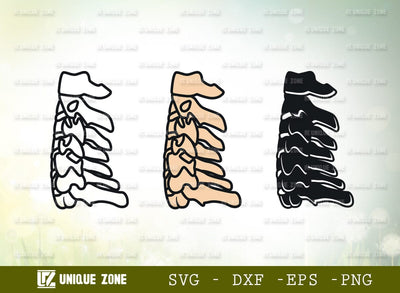Anatomy Spine SVG Cut File, Anatomy Svg, Human Spine Svg, Spine Svg, Bones Svg, Spinal Cord Svg, Skeleton Svg, Physiotherapy Svg SVG Unique Zone 