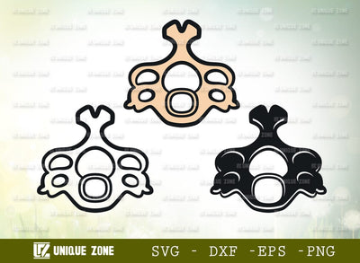 Anatomy Spine SVG Cut File, Anatomy Svg, Human Spine Svg, Spine Svg, Bones Svg, Spinal Cord Svg, Skeleton Svg, Physiotherapy Svg SVG Unique Zone 