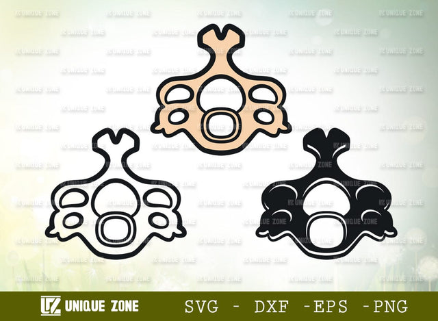 Anatomy Spine SVG Cut File, Anatomy Svg, Human Spine Svg, Spine Svg, Bones Svg, Spinal Cord Svg, Skeleton Svg, Physiotherapy Svg SVG Unique Zone 