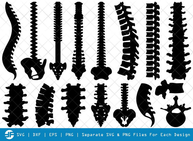 Anatomy Spine SVG Cut Files | Human Spine Silhouette SVG ETC Craft 
