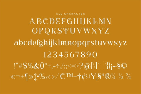 Anchora Typeface Font Storytype Studio 