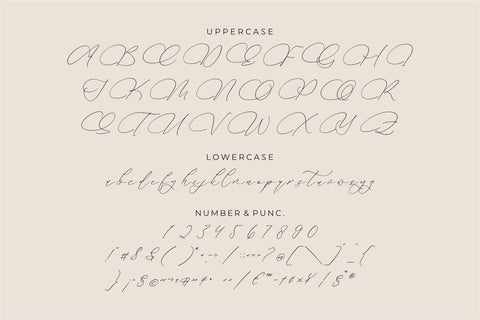 Andaluse Selioth - Beauty Script Font Font Storytype Studio 