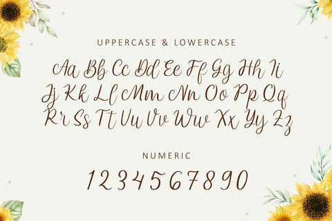 Andeeta Font tlatoustype 