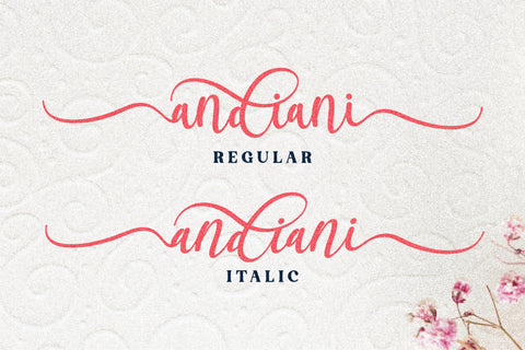 andiani Font Letterena Studios 