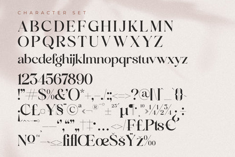 Andora Modern Font Duo Font Storytype Studio 