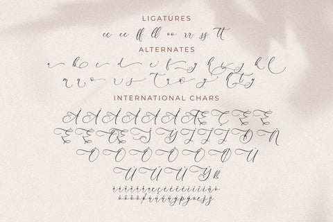 Andora Modern Font Duo Font Storytype Studio 