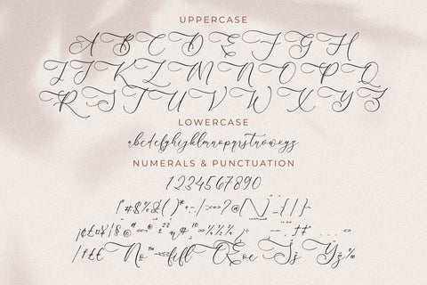 Andora Modern Font Duo Font Storytype Studio 