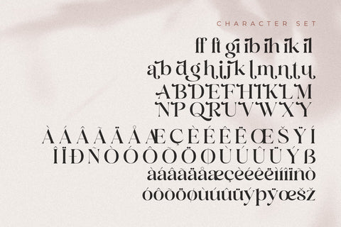 Andora Modern Font Duo Font Storytype Studio 