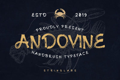 Andovine - Handbrush Typeface Font StringLabs 