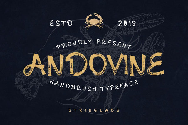 Andovine - Handbrush Typeface Font StringLabs 