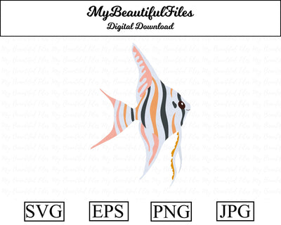 Angelfish - Animal SVG MyBeautifulFiles 