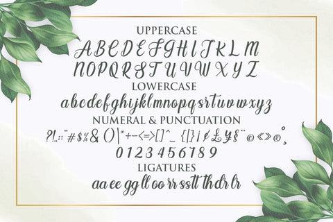 Angelia Font zainstudio151 