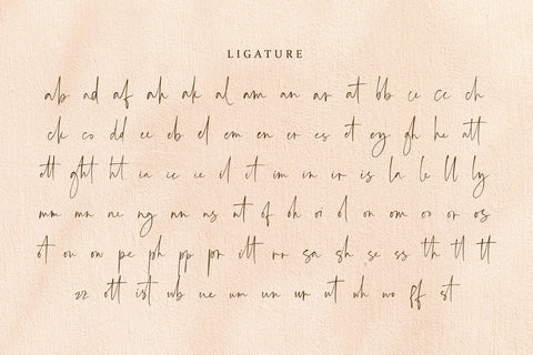 Angelic Smiles - Stylish Signature Font Font Alpaprana Studio 