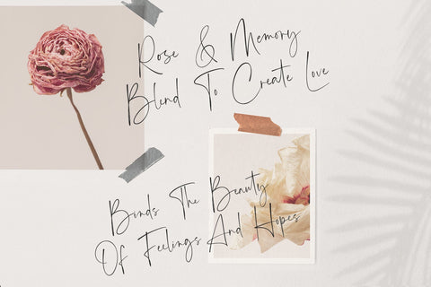 Angelic Smiles - Stylish Signature Font Font Alpaprana Studio 