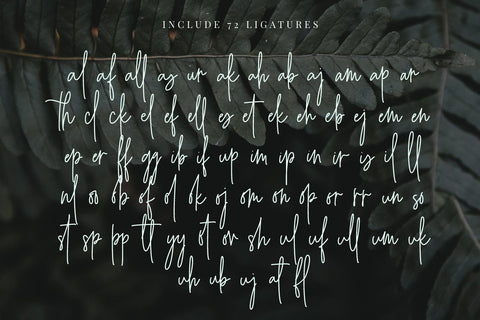 Angelica Jealous | Monoline Style Font Jimtype Studio 