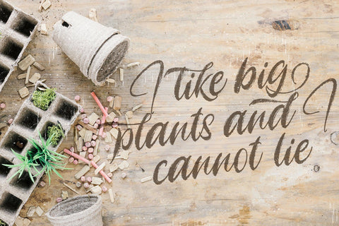 Angelicy - Textured Brush Font Font StringLabs 