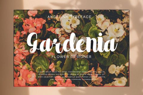 Angelina - Modern Handwritten Font Font Masyafi Studio 