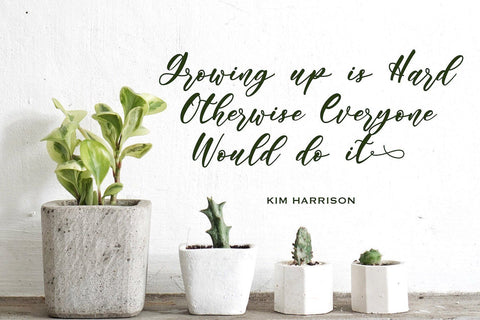 Angelina Rahmy - Modern Script Font Font StringLabs 