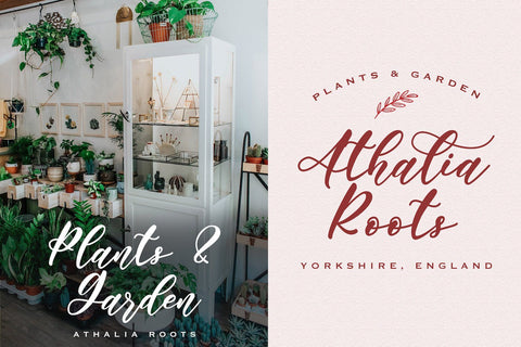 Angelina Rahmy - Modern Script Font Font StringLabs 