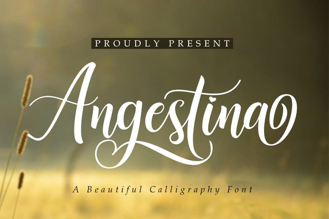 Angestina Font Madatype Studio 