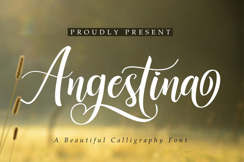 Angestina Font Madatype Studio 