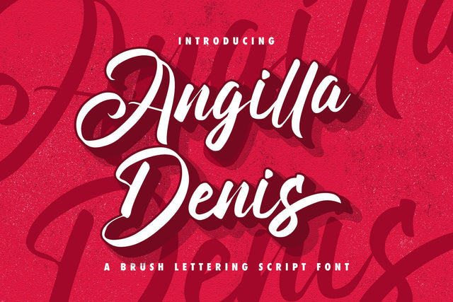 Angilla Denis - Brush Script Font Font StringLabs 